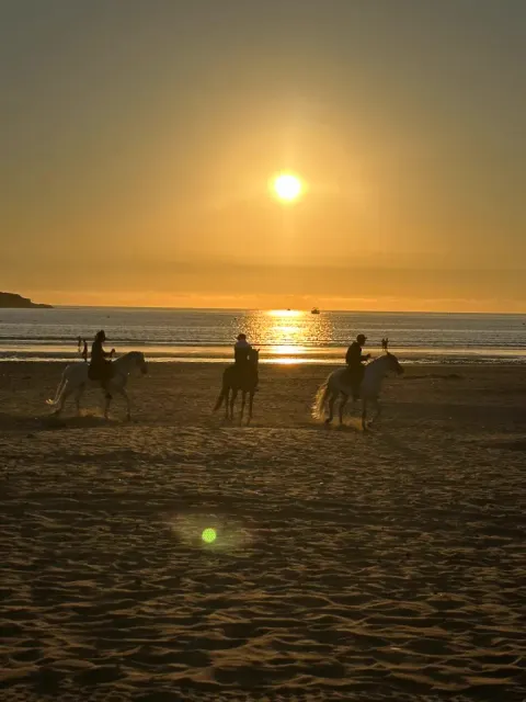 Horseback rides