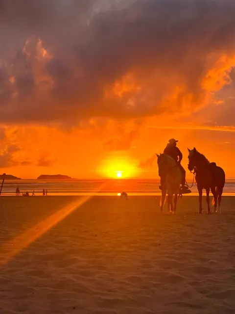 Sunset horseback ride on Essaouira beach - Atlantis 12