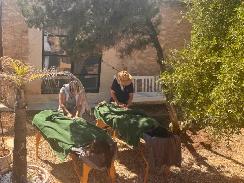 Wellness massage